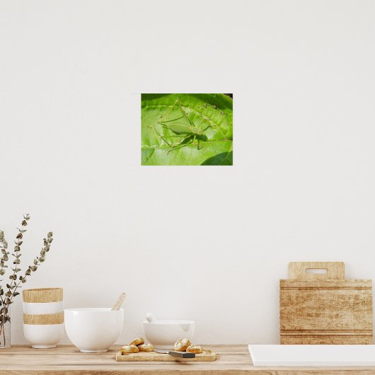 Impression Camouflage de Grillon Vert (Cuisine)