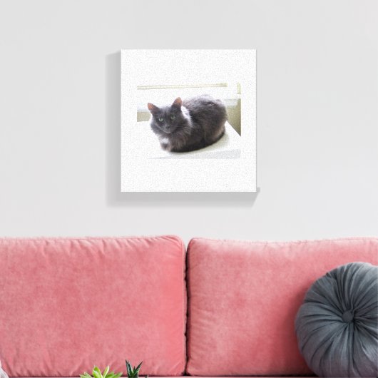 Impression Canvas (Insitu(Salon))