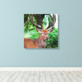 Impression Canvas Buck (Insitu (Plancher de Bois))