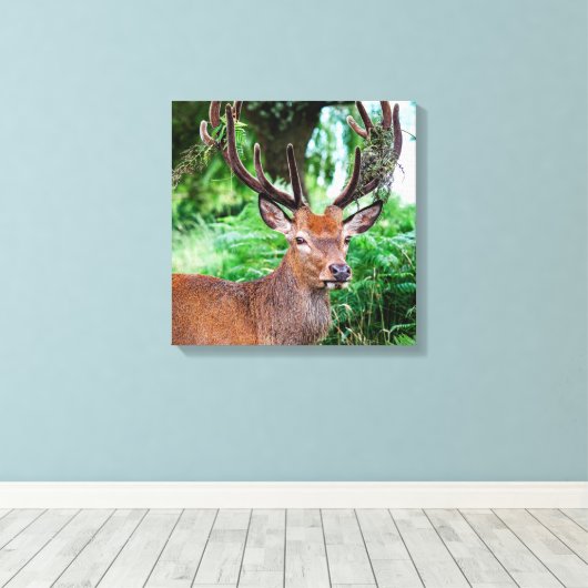 Impression Canvas Buck (Insitu (Plancher de Bois))
