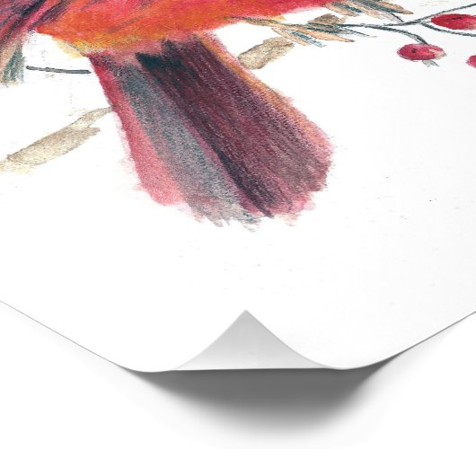 Impression Cardinal Watercolor (Coin)