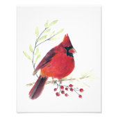 Impression Cardinal Watercolor (Devant)