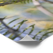 Impression cardinale (Coin)