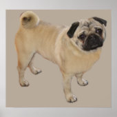 Impression carlin (Devant)