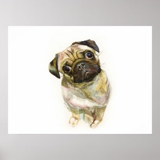 Impression carlin face | Chien de Carlin mignon (Devant)