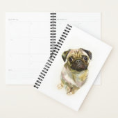 Impression carlin face | Chien de Carlin mignon (Devant avec enveloppe)