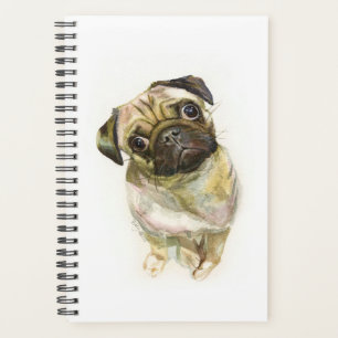 Impression carlin face   Chien de Carlin mignon