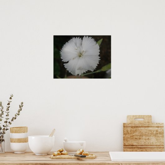 Impression Carnation blanche (Cuisine)