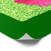Impression Carnation rose (Coin)