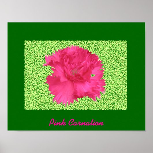 Impression Carnation rose (Devant)