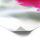 Impression Carnation rose (Coin)