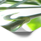 Impression Carnation rouge (Coin)