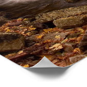 Impression cascade d'automne (Coin)