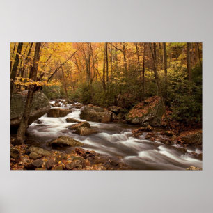 Impression cascade d'automne