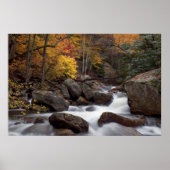 Impression cascade d'automne (Devant)