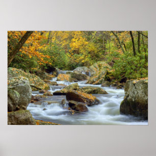 Impression cascade d'automne