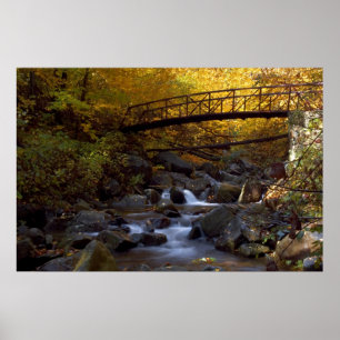 Impression cascade d'automne