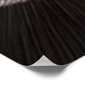 Impression Champion (Coin)