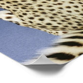 Impression Cheetah (Coin)