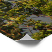 Impression Ciel arc-en-ciel (Coin)