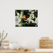 Impression coccinelle britannique 7 taches (Cuisine)