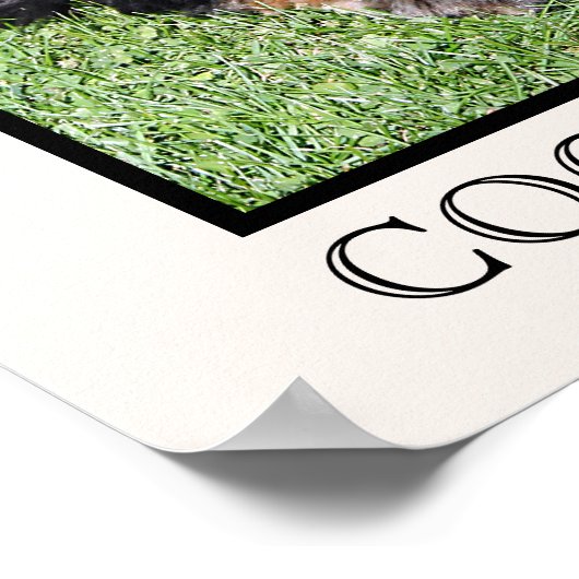 Impression Cocker Spaniel (Coin)