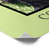 Impression Cocker Spaniel (Coin)