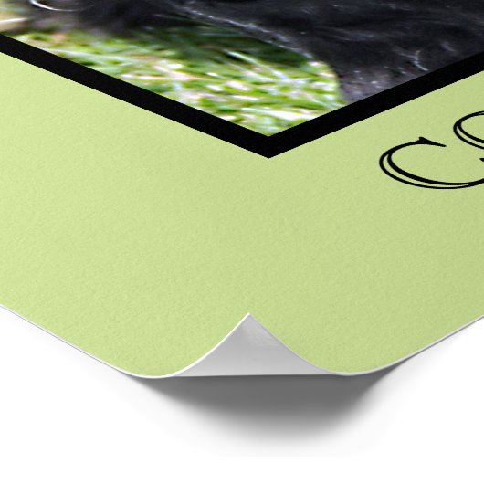 Impression Cocker Spaniel (Coin)