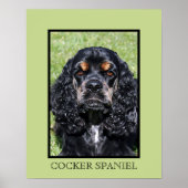 Impression Cocker Spaniel (Devant)