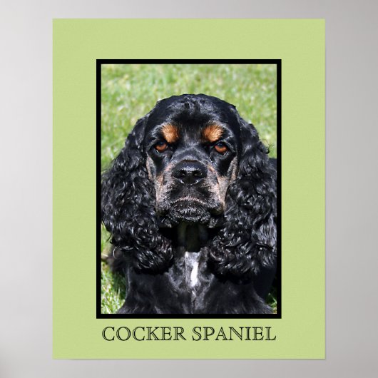 Impression Cocker Spaniel (Devant)