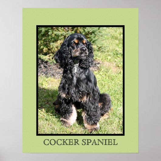 Impression Cocker Spaniel (Devant)
