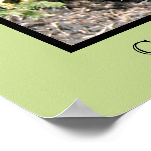 Impression Cocker Spaniel (Coin)