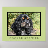 Impression Cocker Spaniel (Devant)