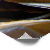 Impression collectée par Shell (Coin)