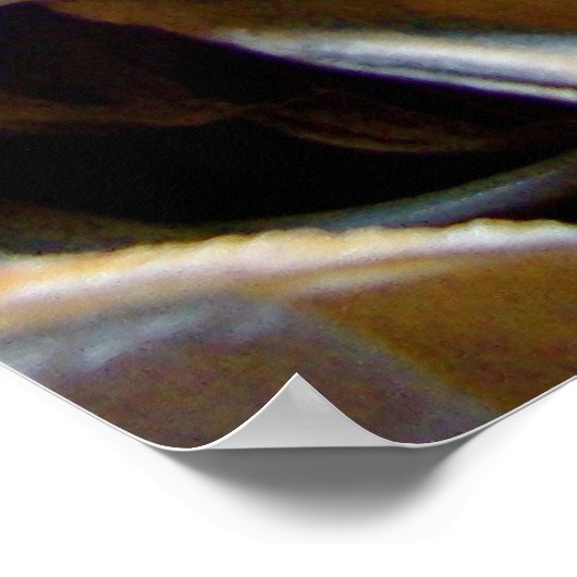 Impression collectée par Shell (Coin)