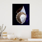 Impression "Coques" (Cuisine)