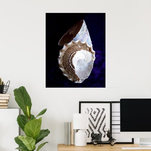 Impression "Coques" (Bureau à domicile)