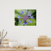 Impression Cornflower bleue (Cuisine)