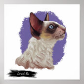 Impression Cornish Rex Cat | Impression murale de (Devant)