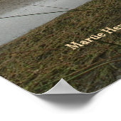 Impression Coyote Creek - Sélectionnez votre cadre (Coin)