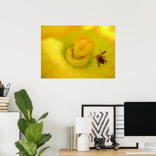 Impression d'abeille dans une fleur de courgette (Bureau à domicile)