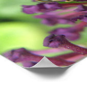 Impression d'abeille domestique et de fleurs viole (Coin)