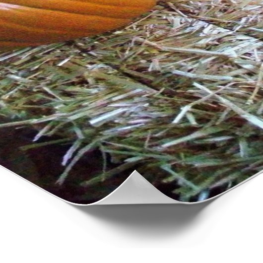 impression d'affichage citrouille (Coin)