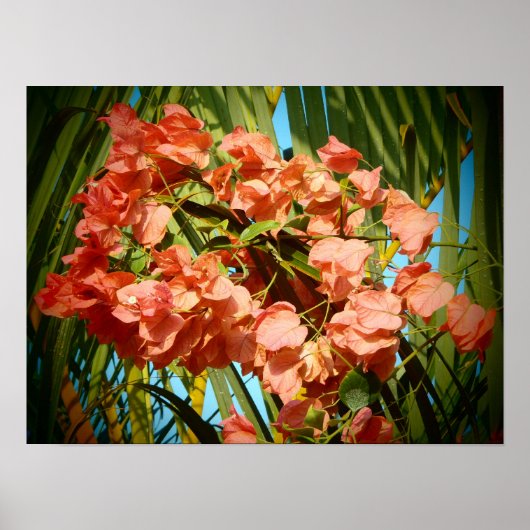 Impression d'affiches de fleurs hawaïennes (Devant)