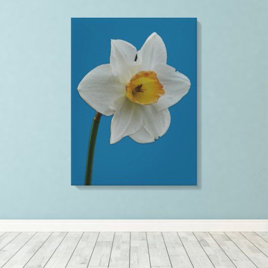 Impression Daffodique (Insitu (Plancher de Bois))