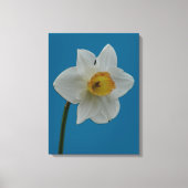Impression Daffodique (Recto)