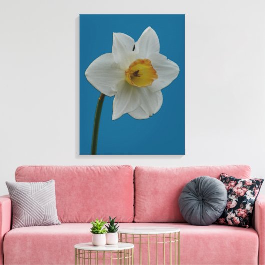 Impression Daffodique (Insitu(Salon))