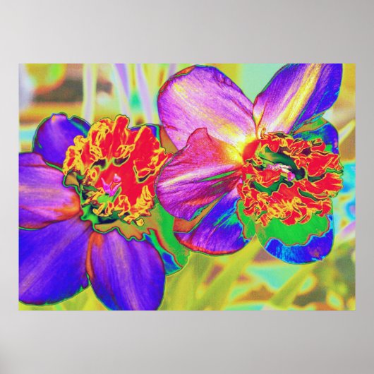 Impression daffodique colorée (Devant)