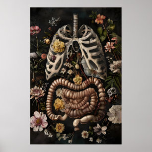 Impression d'anatomie de l'intestin floral, gothiq
