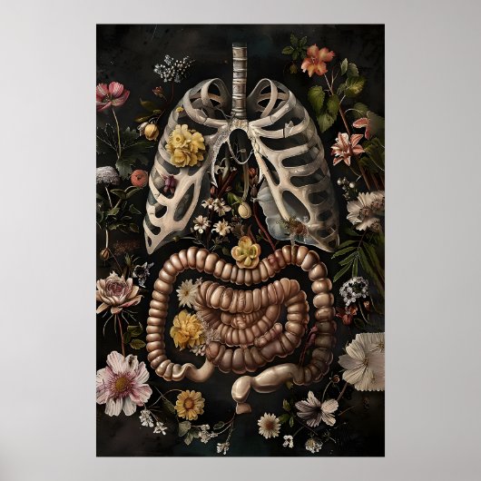 Impression d'anatomie de l'intestin floral, gothiq (Devant)